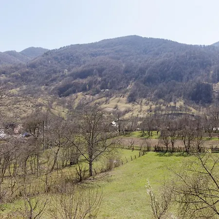 Dom wakacyjny Nook Of Nature Basca Rozilei